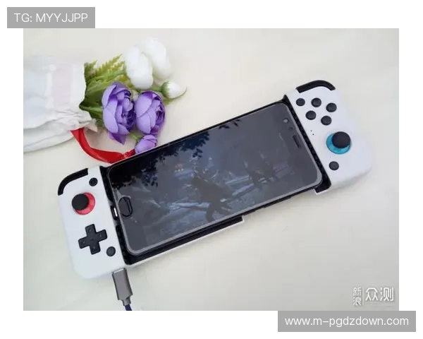 PG官方下载安装步骤详解,提供完整操作流程和常见问题排查技巧助你轻松畅玩游戏