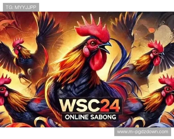 PG官网电脑版入口官方入口最新版本,确保玩家体验流畅不卡顿的游戏环境
